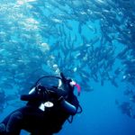 Philippine fun divers divers alona beach panglao bohol 12 768x1024
